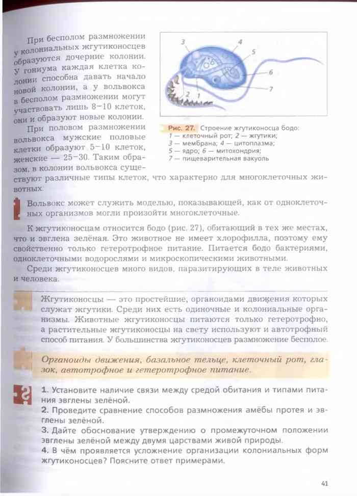Учебник Биология 7 класс Константинов Бабенко читать онлайн